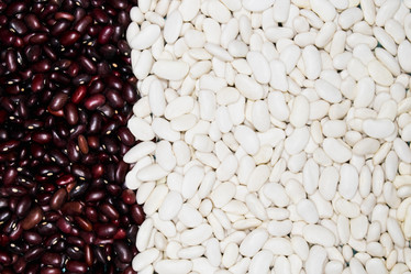 Similar image 21072727