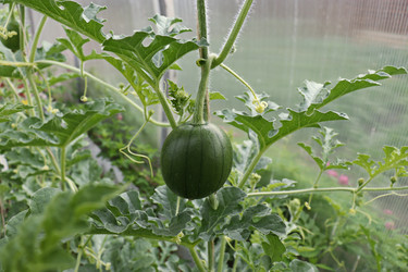 Similar image 21072733