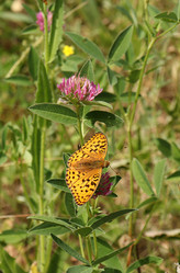 Similar image 21072734