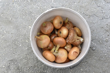 Similar image 21074282