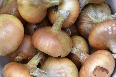 Similar image 21074283