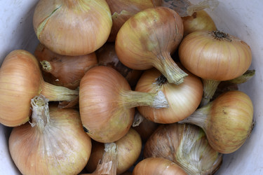 Similar image 21074284