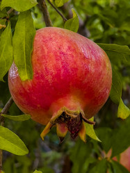 Similar image 21073842