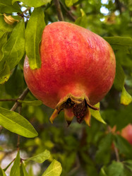 Similar image 21073844