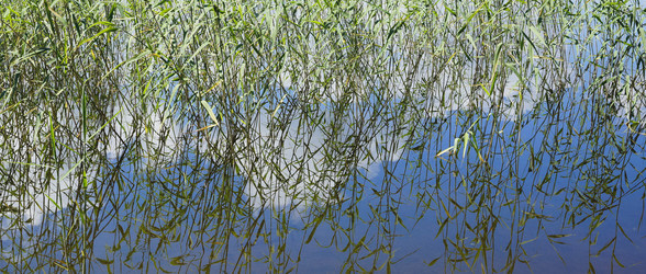 Similar image 21074670