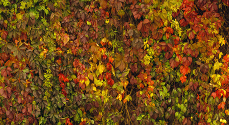 Similar image 21074673