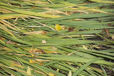 Similar image 21074675