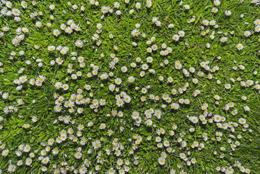 Similar image 21074677