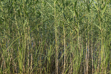 Similar image 21074678