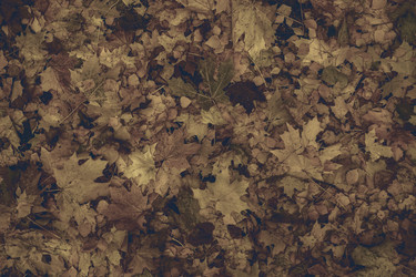 Similar image 21074679