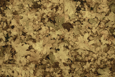 Similar image 21074680