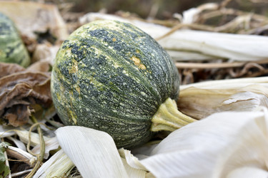 Similar image 21074285