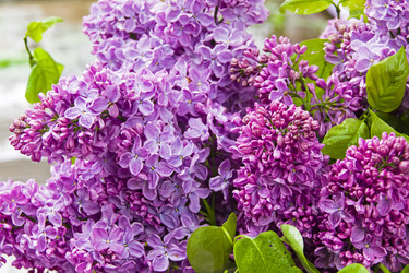 Similar image 21073852