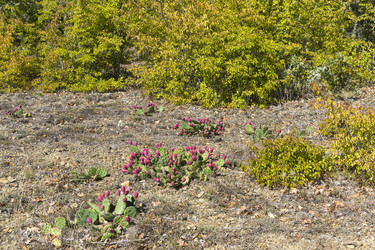 Similar image 21073859