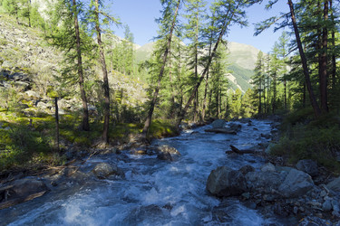 Similar image 21074099