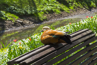 Similar image 21074117