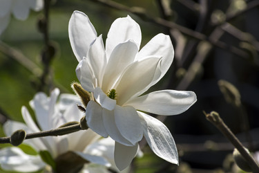 Similar image 21074122