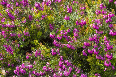 Similar image 21074123