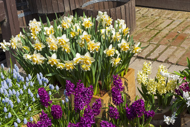 Similar image 21074124