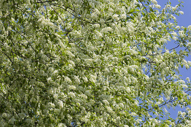 Similar image 21074125