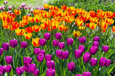 Similar image 21074127