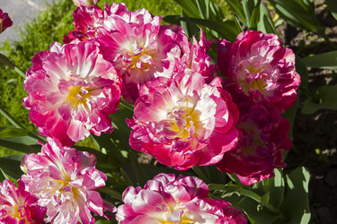 Similar image 21074130