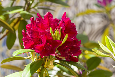 Similar image 21074131