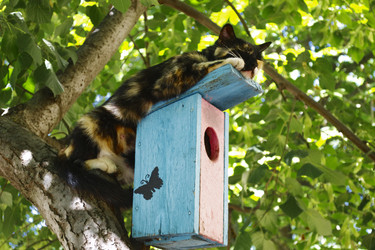 Similar image 21073862