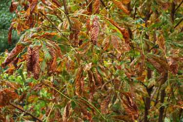 Similar image 21073864