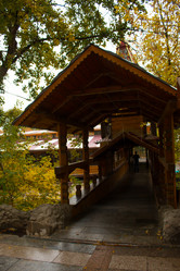 Similar image 21077688