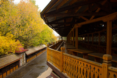 Similar image 21077692