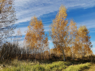 Similar image 21076444