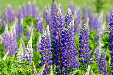 Similar image 21076445