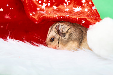 Similar image 21078168