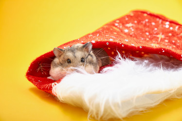 Similar image 21078170