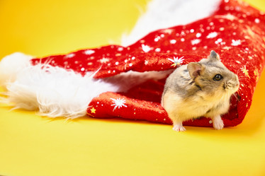 Similar image 21078171