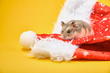 Similar image 21078173