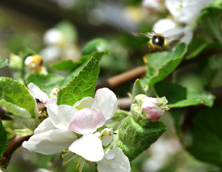 Similar image 21073865