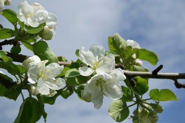 Similar image 21073866