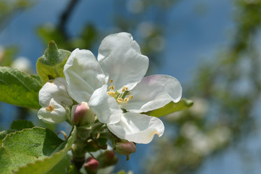 Similar image 21073867