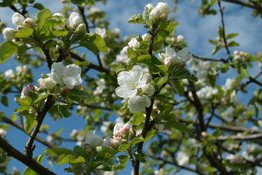 Similar image 21073868