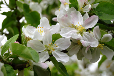 Similar image 21073869