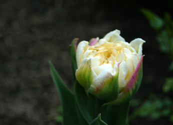 Similar image 21073871