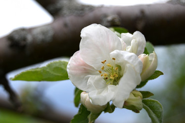 Similar image 21073872