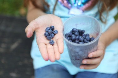 Similar image 21074138