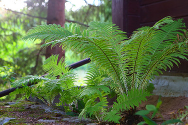 Similar image 21074684