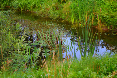 Similar image 21075193