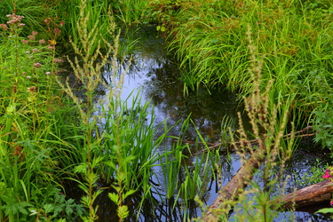 Similar image 21075196