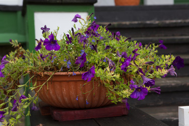 Similar image 21074142