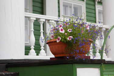 Similar image 21074143